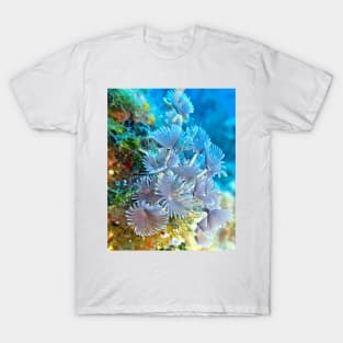 Social Feather Duster Anemone on Coral Reef T-Shirt